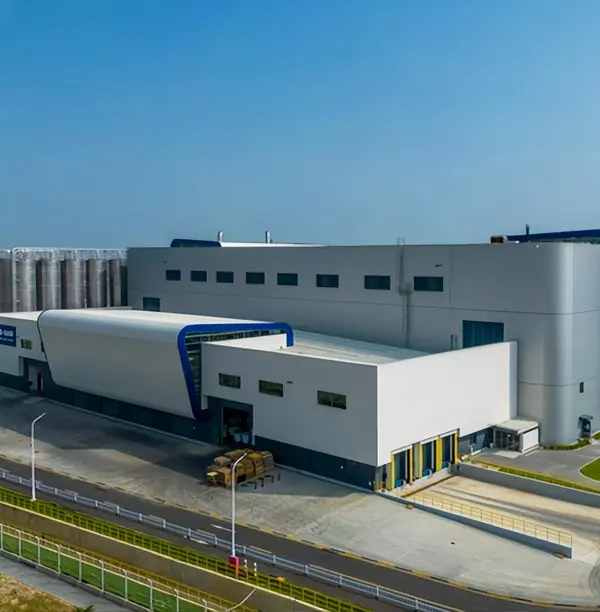 Έργο BASF στο Zhanjiang, Κίνα